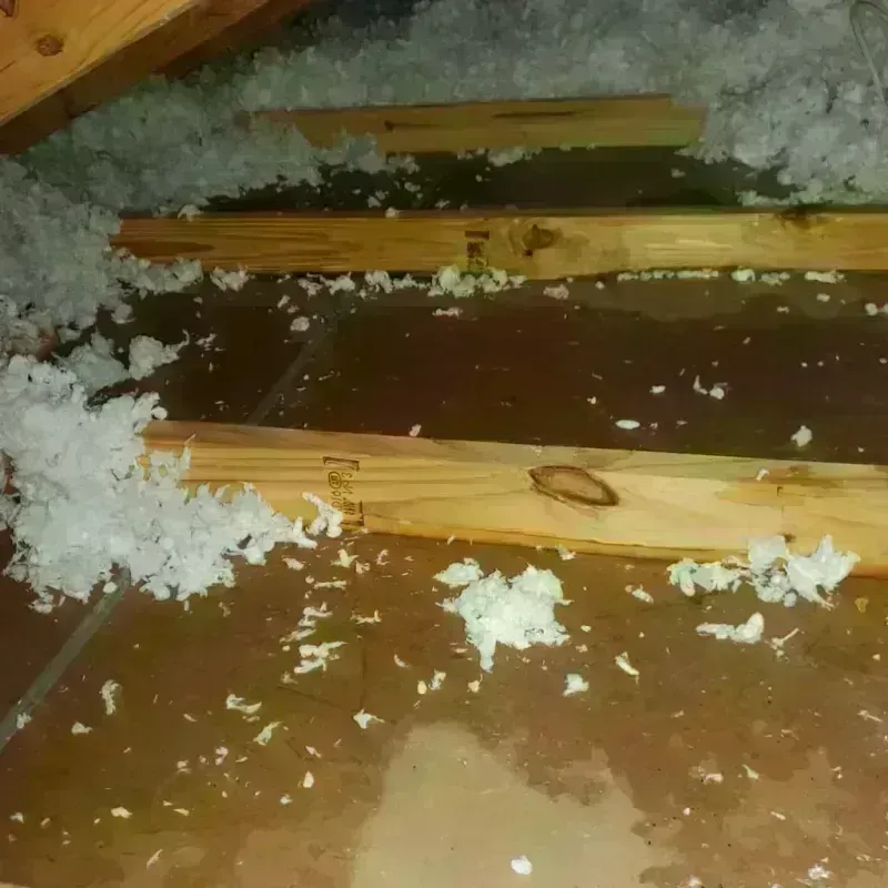 Attic Water Damage in Fairplains, NC