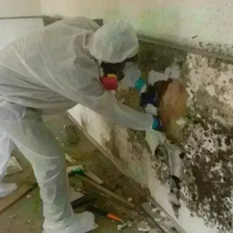 Mold Remediation and Removal in Fairplains, NC