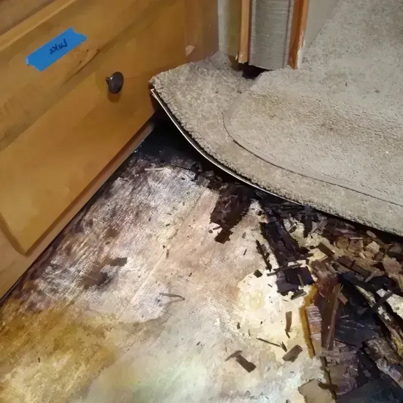 Wood Floor Water Damage in Fairplains, NC